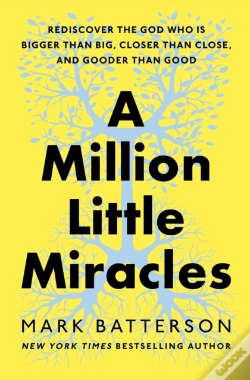 Capa do artigo A Million Little Miracles