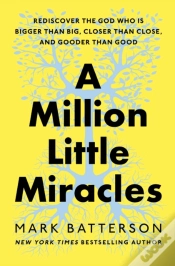 Capa do artigo A Million Little Miracles