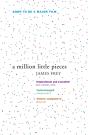 A Million Little Pieces - Preview