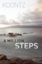 A Million Steps - Preview