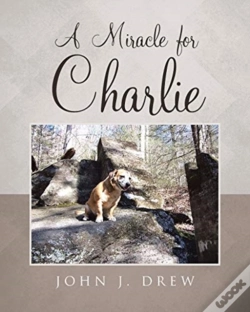 Capa do artigo A Miracle For Charlie