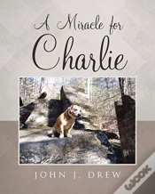 Capa do artigo A Miracle For Charlie