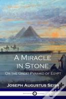 A Miracle In Stone
