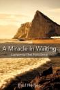 A Miracle In Waiting - Preview