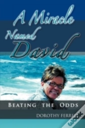 A Miracle Named David