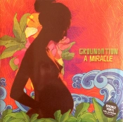 Capa do artigo A Miracle - Vinil