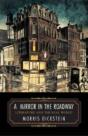 A Mirror In The Roadway - Preview