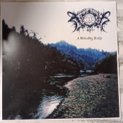 Capa do artigo A Misleading Reality - Vinil