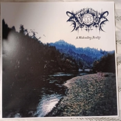 Capa do artigo A Misleading Reality - Vinil