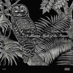 Capa do artigo A Missing Myth of the Future - Vinil