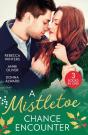 A Mistletoe Chance Encounter - Preview