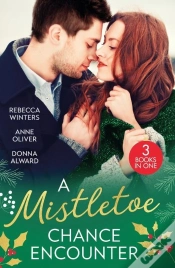 Capa do artigo A Mistletoe Chance Encounter
