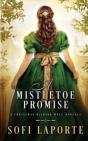 A Mistletoe Promise - Preview