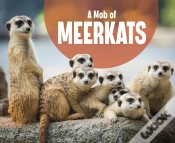 Capa do artigo A Mob Of Meerkats