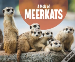 Capa do artigo A Mob Of Meerkats