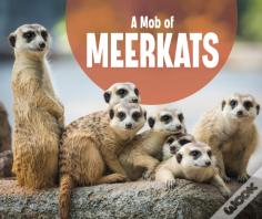 A Mob Of Meerkats