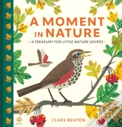 Capa do artigo A Moment In Nature