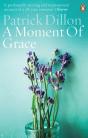 A Moment Of Grace - Preview