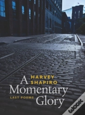 Capa do artigo A Momentary Glory