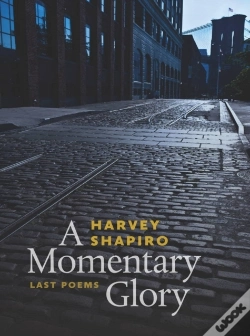 Capa do artigo A Momentary Glory