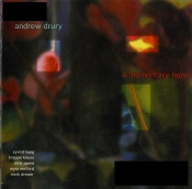 Capa do artigo A Momentary Lapse - CD