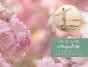 A Mom'S Guide To Creating A Magical Life - Preview
