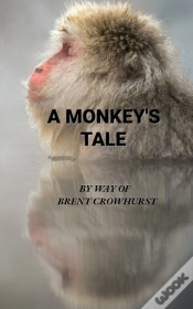 Capa do artigo A Monkey