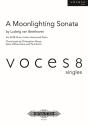 A Moonlighting Sonata - Preview
