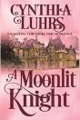 A Moonlit Knight - Preview