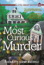 A Most Curious Murder - Preview