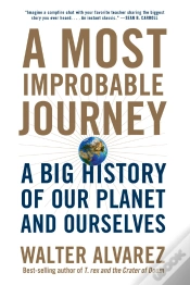 Capa do artigo A Most Improbable Journey