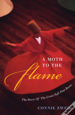 Capa do artigo A Moth To The Flame
