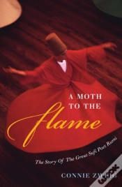 Capa do artigo A Moth To The Flame