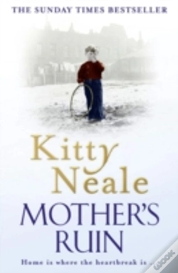 Capa do artigo A Motherâ€™S Ruin
