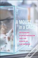 A Mouse In A Cage