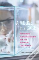 A Mouse In A Cage