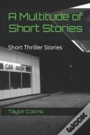 A Multitude Of Short Stories