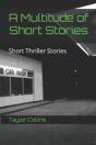 A Multitude Of Short Stories - Preview