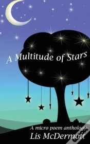 Capa do artigo A Multitude Of Stars