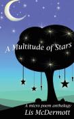 A Multitude Of Stars