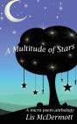 A Multitude Of Stars - Preview
