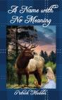 A Name With No Meaning - Preview