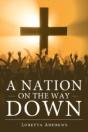 A Nation On The Way Down - Preview