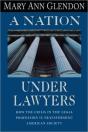 A Nation Under Lawyers - Preview