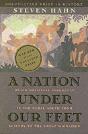 A Nation Under Our Feet - Preview