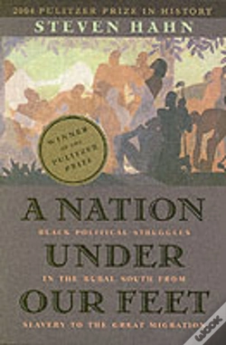 Capa do artigo A Nation Under Our Feet