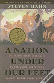 Capa do artigo A Nation Under Our Feet