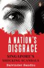 A Nation'S Disgrace - Preview