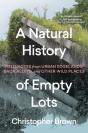 A Natural History Of Empty Lots - Preview