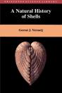 A Natural History Of Shells - Preview